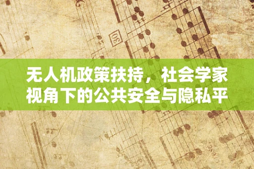 无人机政策扶持，社会学家视角下的公共安全与隐私平衡之道？