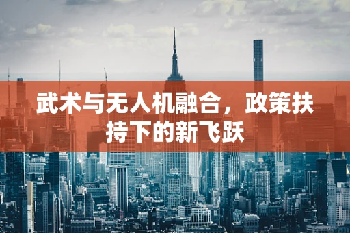 武术与无人机融合，政策扶持下的新飞跃