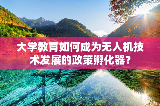 大学教育如何成为无人机技术发展的政策孵化器？