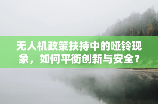 无人机政策扶持中的哑铃现象，如何平衡创新与安全？