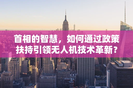 首相的智慧，如何通过政策扶持引领无人机技术革新？