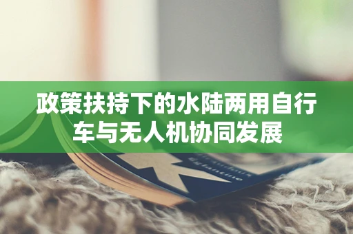 政策扶持下的水陆两用自行车与无人机协同发展