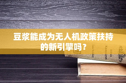 豆浆能成为无人机政策扶持的新引擎吗？