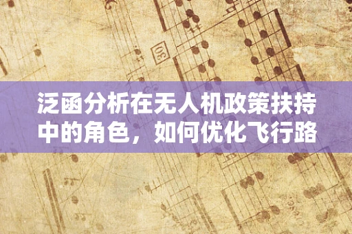 泛函分析在无人机政策扶持中的角色，如何优化飞行路径与资源分配？
