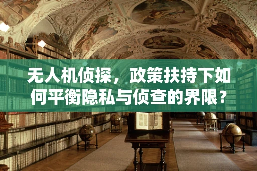 无人机侦探，政策扶持下如何平衡隐私与侦查的界限？