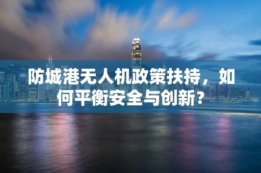 防城港无人机政策扶持，如何平衡安全与创新？