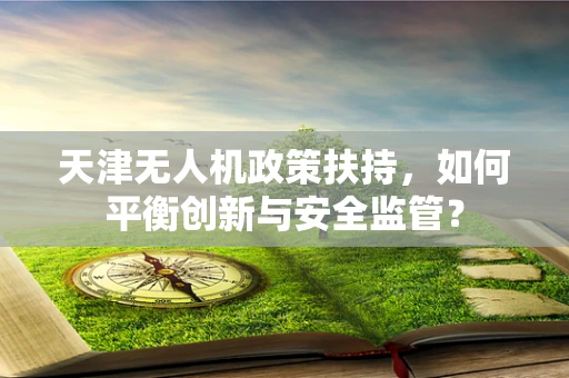 天津无人机政策扶持，如何平衡创新与安全监管？