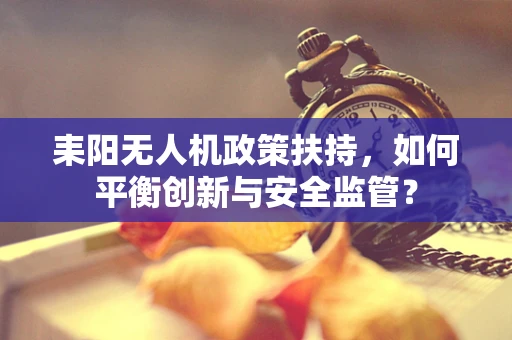 耒阳无人机政策扶持，如何平衡创新与安全监管？