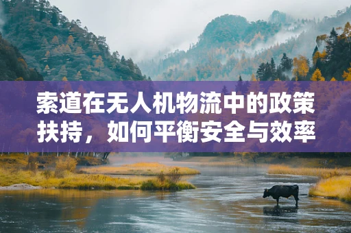 索道在无人机物流中的政策扶持，如何平衡安全与效率？
