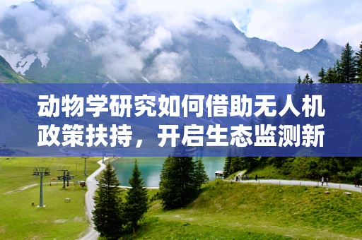 动物学研究如何借助无人机政策扶持，开启生态监测新篇章？