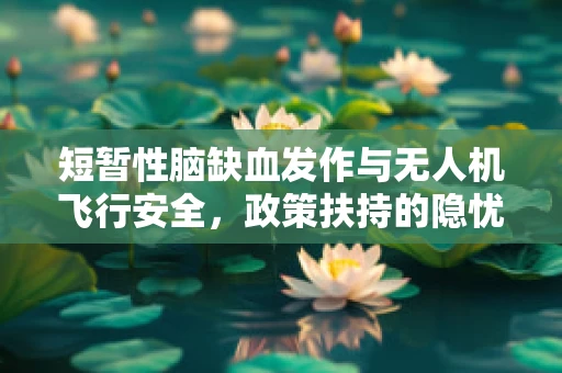 短暂性脑缺血发作与无人机飞行安全，政策扶持的隐忧