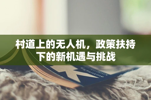 村道上的无人机，政策扶持下的新机遇与挑战