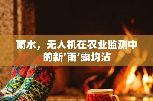 雨水，无人机在农业监测中的新‘雨’露均沾
