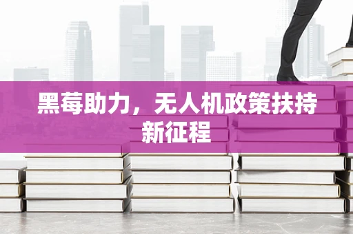 黑莓助力，无人机政策扶持新征程