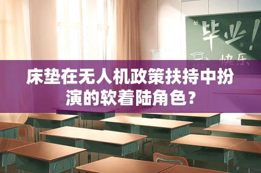 床垫在无人机政策扶持中扮演的软着陆角色？
