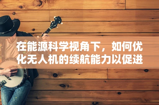 在能源科学视角下，如何优化无人机的续航能力以促进政策扶持？