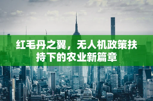 红毛丹之翼，无人机政策扶持下的农业新篇章