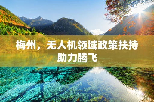 梅州，无人机领域政策扶持助力腾飞
