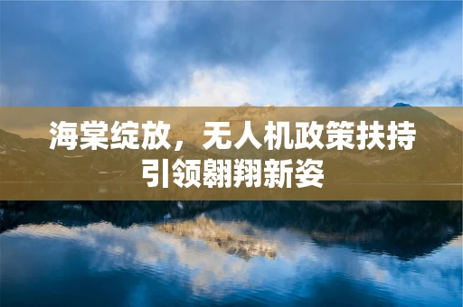海棠绽放，无人机政策扶持引领翱翔新姿