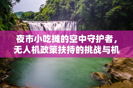 夜市小吃摊的空中守护者，无人机政策扶持的挑战与机遇