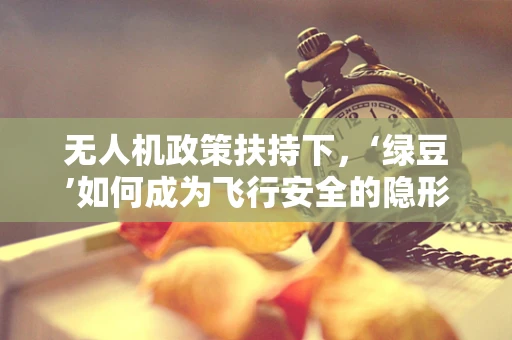 无人机政策扶持下，‘绿豆’如何成为飞行安全的隐形守护者？