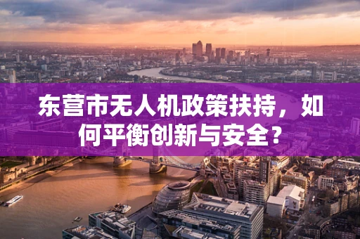 东营市无人机政策扶持，如何平衡创新与安全？