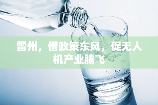 雷州，借政策东风，促无人机产业腾飞