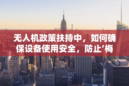 无人机政策扶持中，如何确保设备使用安全，防止‘梅毒’式风险传播？