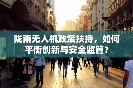 陇南无人机政策扶持，如何平衡创新与安全监管？
