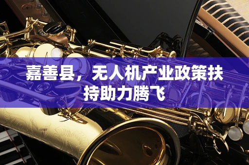 嘉善县，无人机产业政策扶持助力腾飞