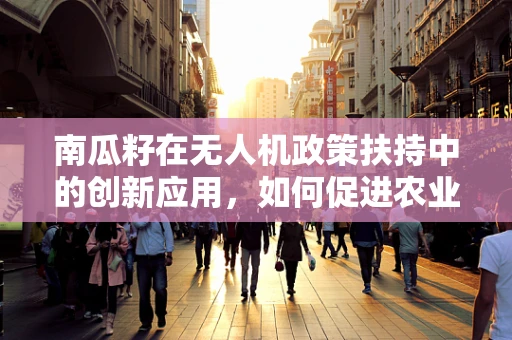 南瓜籽在无人机政策扶持中的创新应用，如何促进农业无人机技术普及？
