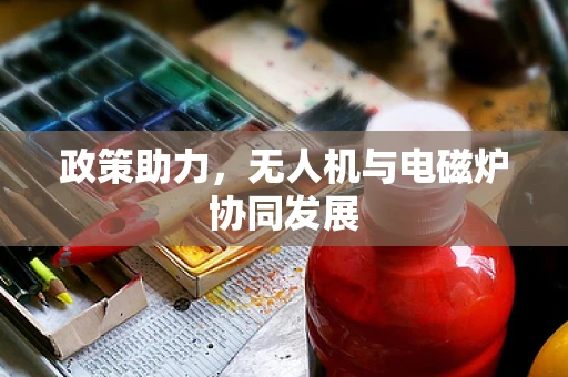 政策助力，无人机与电磁炉协同发展