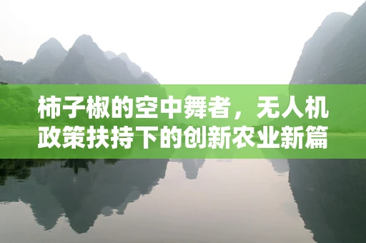 柿子椒的空中舞者，无人机政策扶持下的创新农业新篇章？