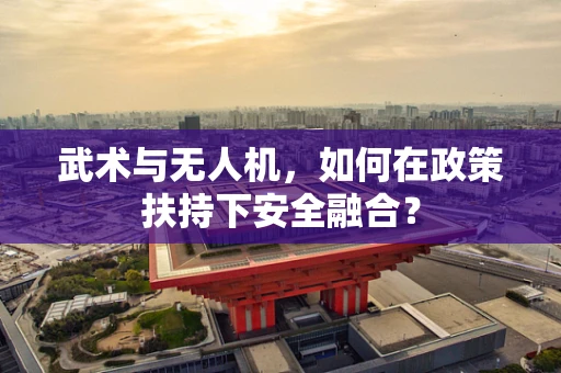 武术与无人机，如何在政策扶持下安全融合？