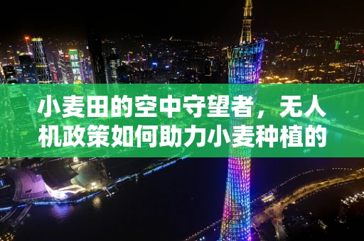小麦田的空中守望者，无人机政策如何助力小麦种植的智慧化转型？