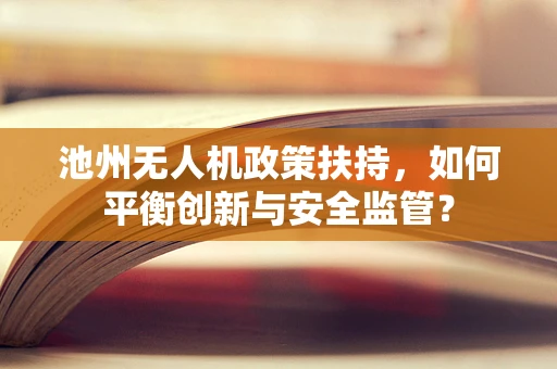 池州无人机政策扶持，如何平衡创新与安全监管？
