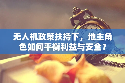 无人机政策扶持下，地主角色如何平衡利益与安全？