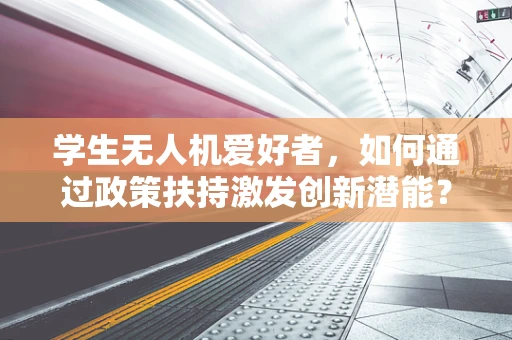 学生无人机爱好者，如何通过政策扶持激发创新潜能？