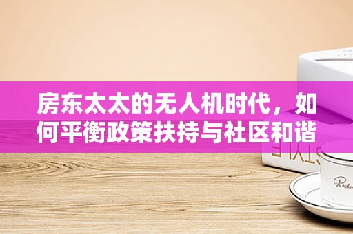 房东太太的无人机时代，如何平衡政策扶持与社区和谐？