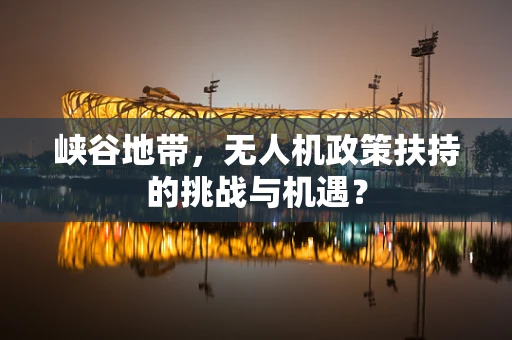 峡谷地带，无人机政策扶持的挑战与机遇？