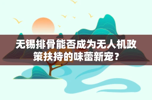 无锡排骨能否成为无人机政策扶持的味蕾新宠？