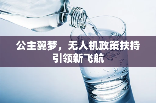 公主翼梦，无人机政策扶持引领新飞航