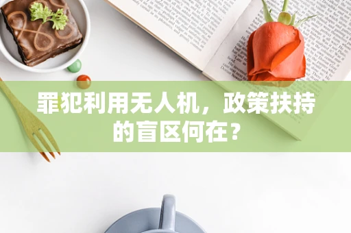罪犯利用无人机，政策扶持的盲区何在？