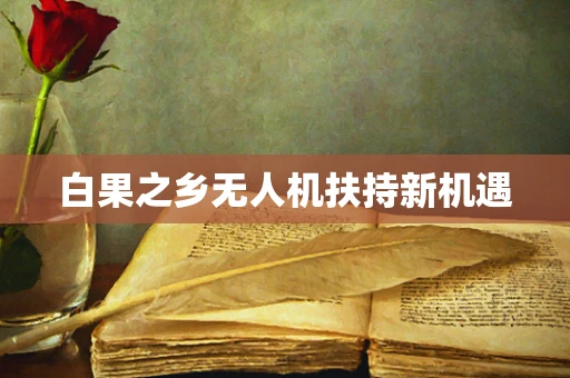 白果之乡无人机扶持新机遇