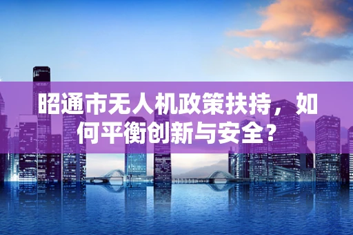 昭通市无人机政策扶持，如何平衡创新与安全？