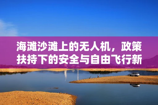 海滩沙滩上的无人机，政策扶持下的安全与自由飞行新挑战？