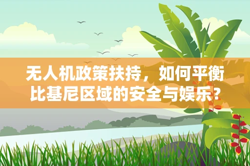 无人机政策扶持，如何平衡比基尼区域的安全与娱乐？