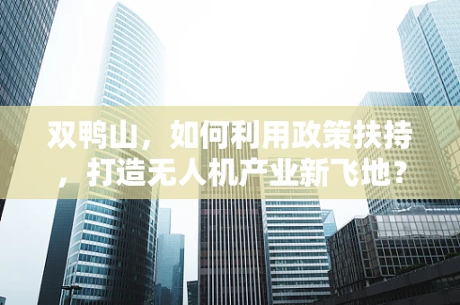 双鸭山，如何利用政策扶持，打造无人机产业新飞地？