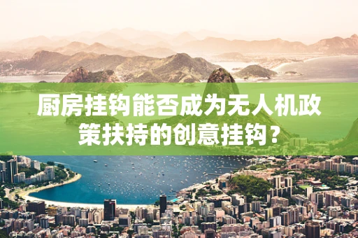 厨房挂钩能否成为无人机政策扶持的创意挂钩？