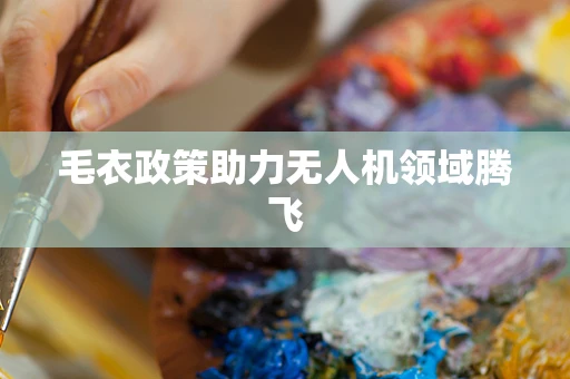 毛衣政策助力无人机领域腾飞
